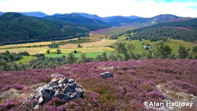 Glen Feardar Upper Deeside