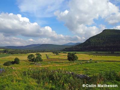 Glen Feardar race arena