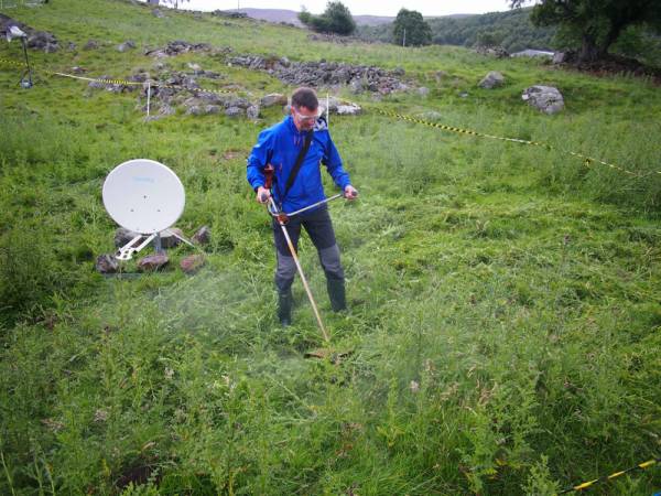 Scotland's national flower under attack