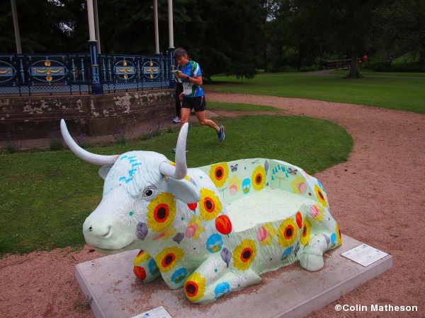 Distinctive bench